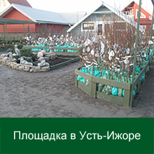 Питомник растений Девяткино СПБ. Магазин Практик сада в Металлострое. Питомник Металлострой. Практик сада в Девяткино.